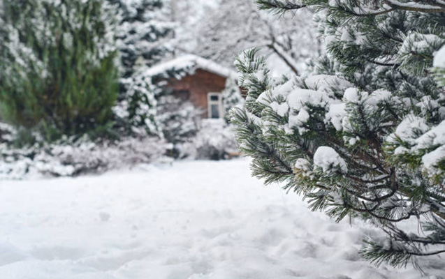 Rayonlara qar yağdı