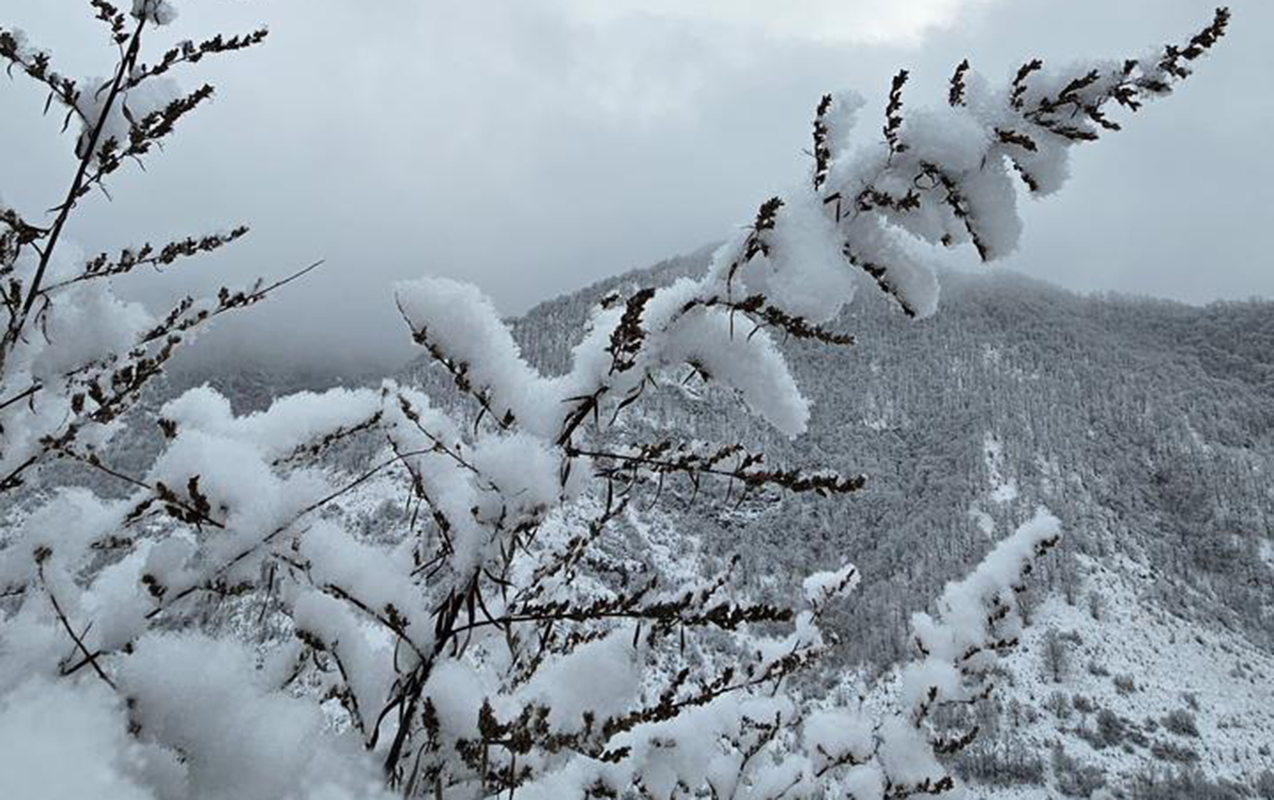 Kəlbəcərdən qar görüntüləri&nbsp;- FOTOLAR