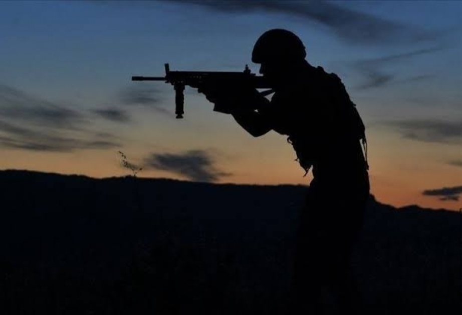 Türkiyə antirerror əməliyyatının nəticələrindən məmnundur