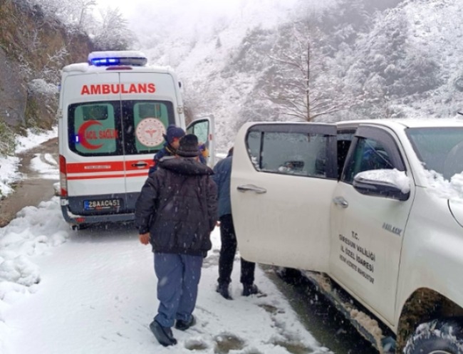 Türkiyədə qar uçqunu - Ölən var