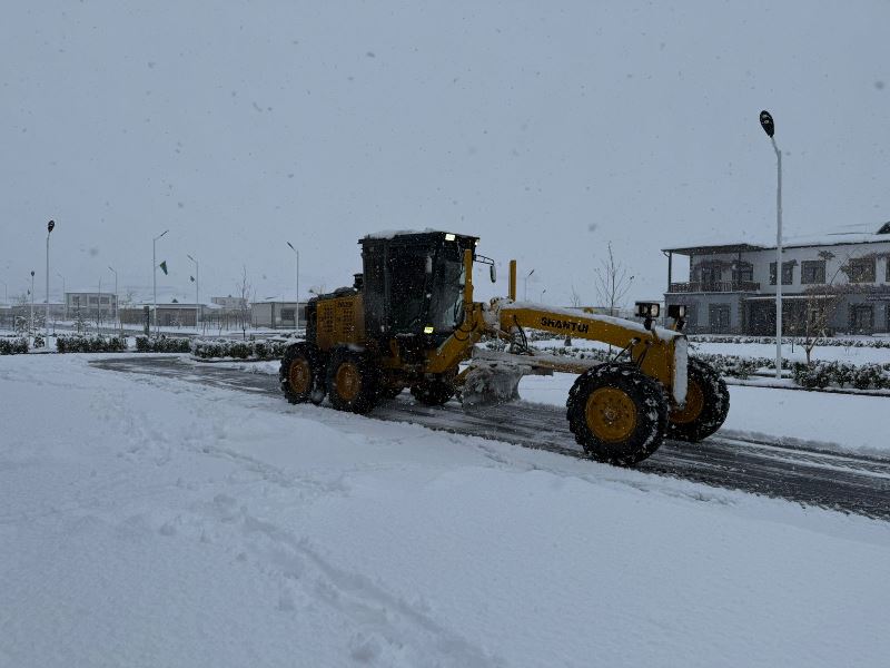 Zəngilan və Cəbrayılda qartəmizləmə işləri görülür - Dövlət Xidməti