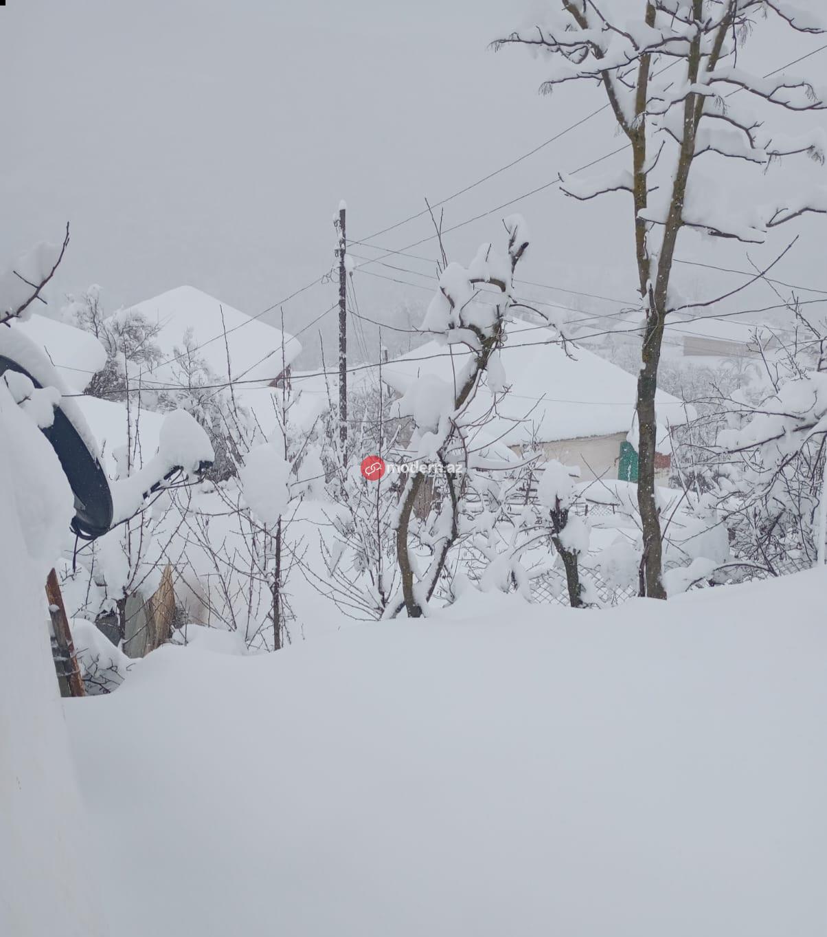Ceyhun Bayramovdan İrandakı azərbaycanlılarla bağlı AÇIQLAMA&nbsp;