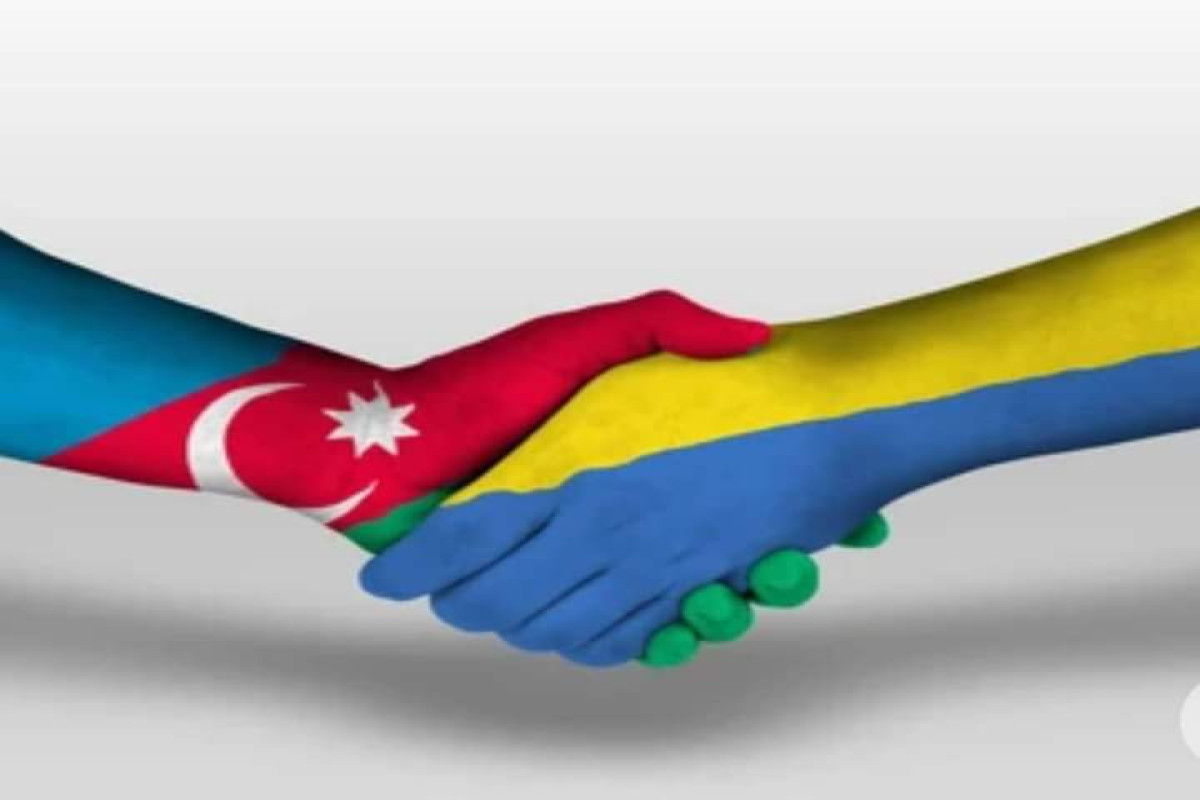 Ukrayna Azərbaycana təşəkkür etdi