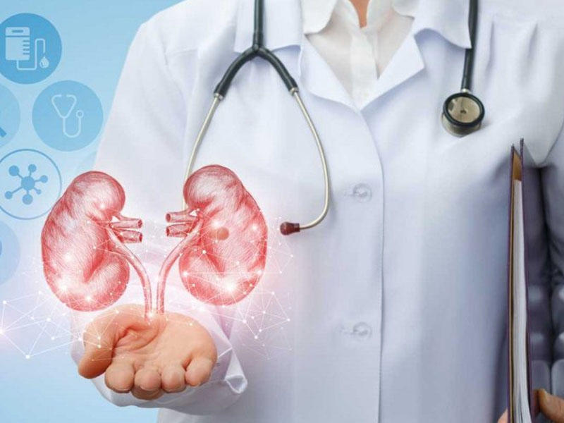 Azərbaycanda böyrəklər robotik üsullarla köçürüləcək
