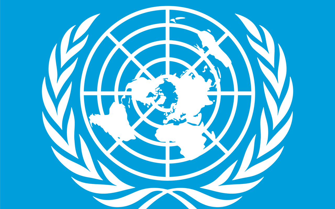 BMT-nin 21 əməkdaşı öldürülüb