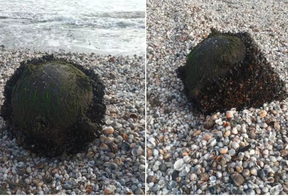 Qara dəniz sahilində mina tapıldı