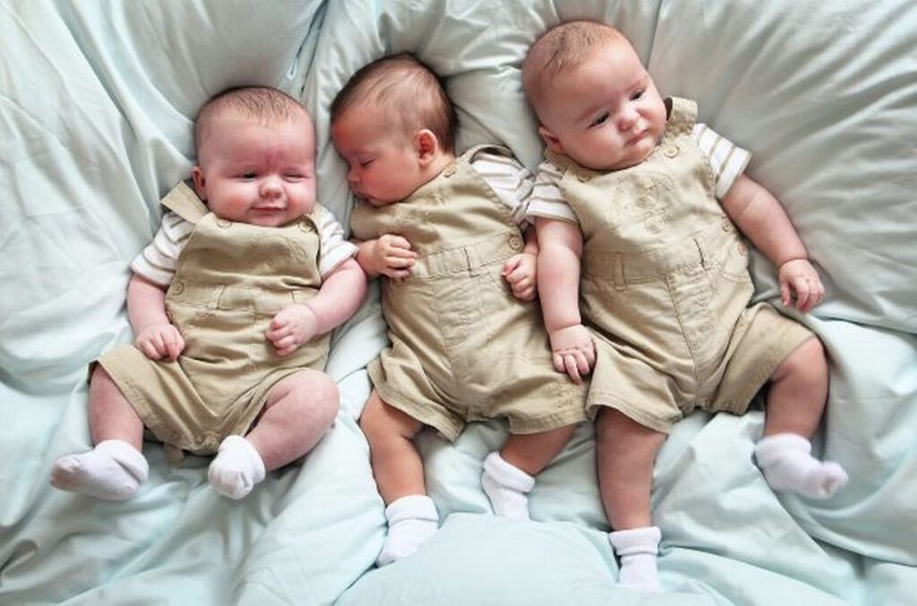 Masallıda üçəm dünyaya gəldi