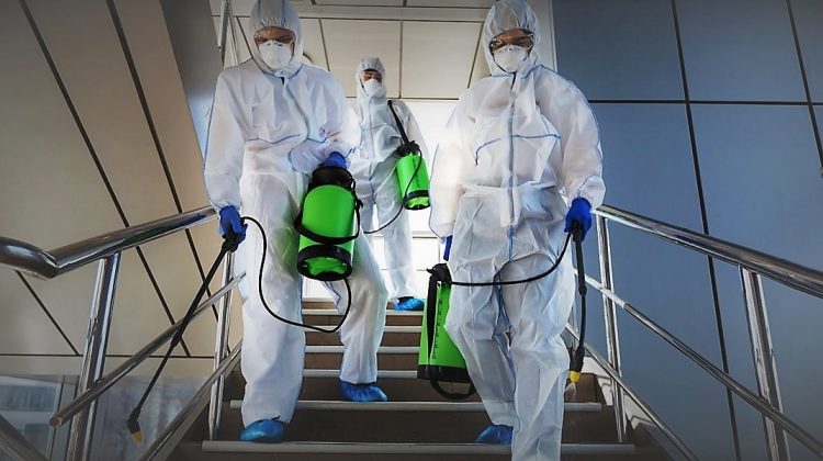 Dezinfeksiya şirkətlərinə RƏSMİ XƏBƏRDARLIQ