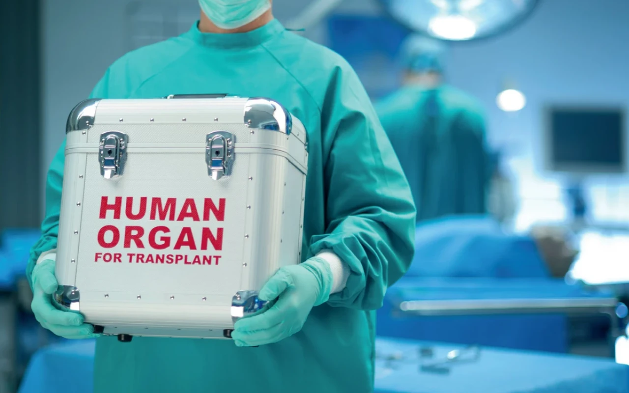 Transplantasiya əməliyyatlarına ehtiyac azalacaq