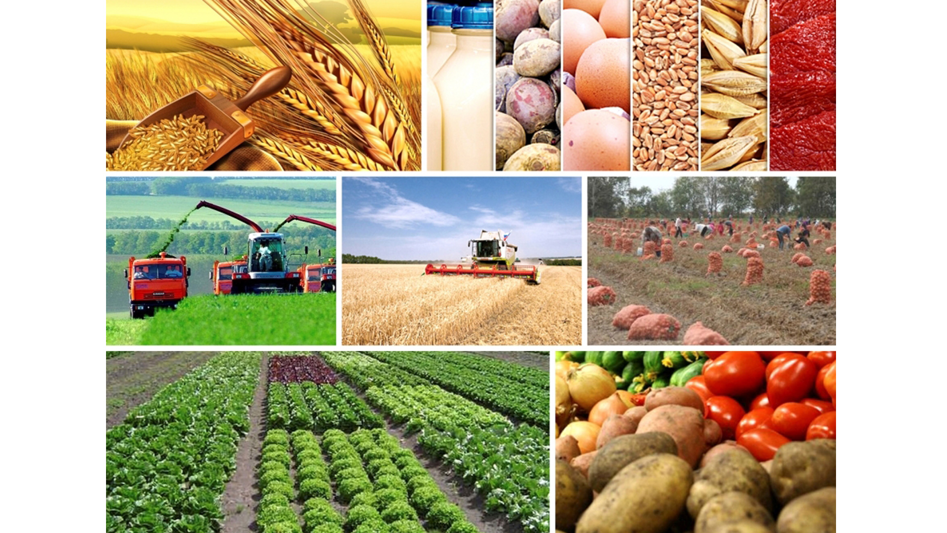 Əkin sahələrini sığortalayan fermerlərin sayı artıb