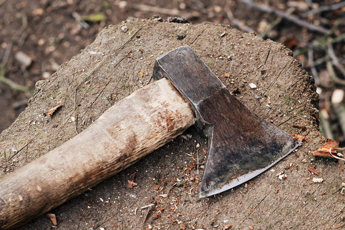 Prokurorluq qardaşı uşaqlarını baltalayan əminin ölümünü araşdırır