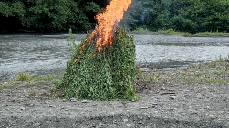 Dövriyədən çıxarılmış narkotik yandırıldı