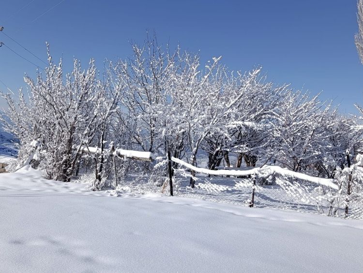Naxçıvanda 1 metrə yaxın qar yağb
