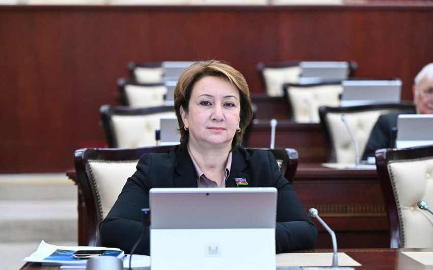 Azərbaycan suverenliyinə qarşı qərəzə prinsipial cavab