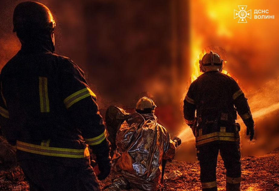 Silahlı&nbsp;hücumda 24 nəfər öldürüldü