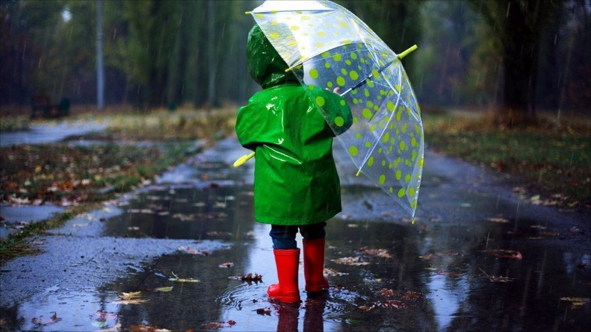 Yağıntılı, küləkli hava davam edir -&nbsp;FAKTİKİ HAVA