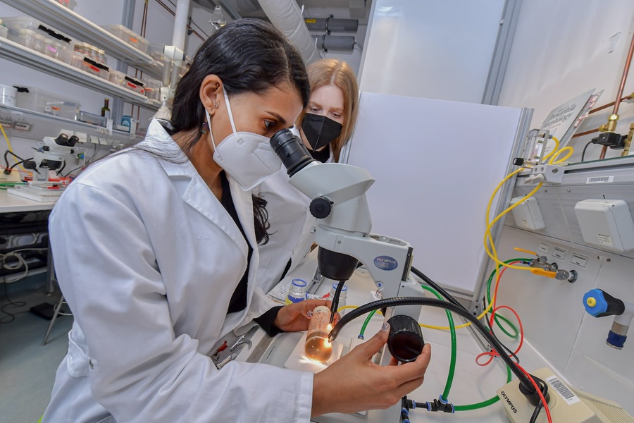 Qadınlar elmdə irəlidə, ali elmi pillələrdə isə geridədir - RƏQƏMLƏR