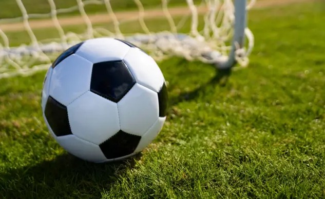 "Qarabağ" - "Nyukasl" oyununa 18 mindən çox bilet satılıb