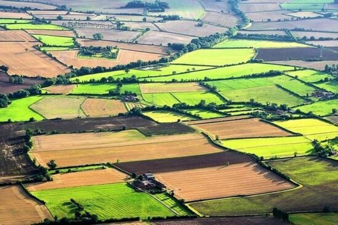 Bələdiyyə tərəfindən qanunsuz ayrılan minlərlə hektar torpaq geri qaytarılıb&nbsp;
