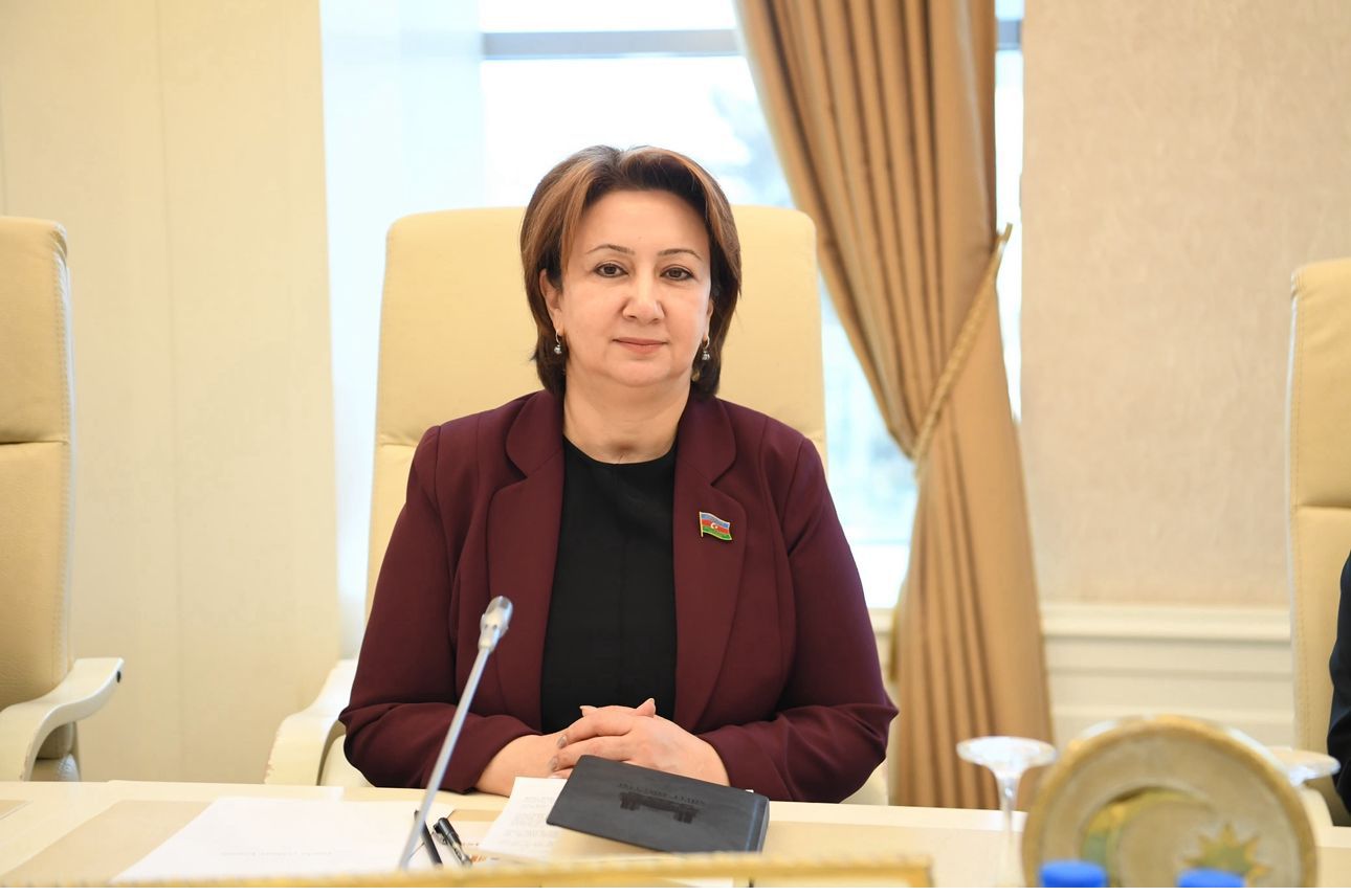 Azərbaycan&ndash;Serbiya münasibətləri strateji mərhələdə