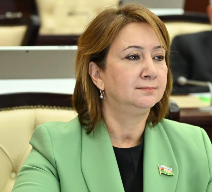 Münhen Təhlükəsizlik Konfransında Azərbaycanın mövqeyi