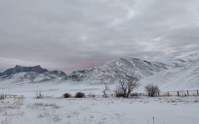 Daşkəsənlə Şahdağda qar yağır - Faktiki hava