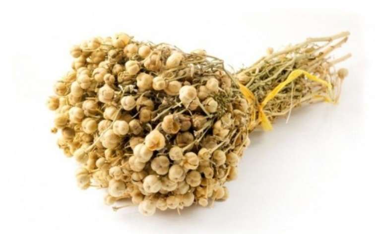 Xaricə gedərkən özləri ilə üzərlik aparanlara XƏBƏRDARLIQ