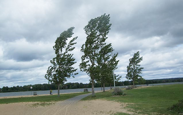 Bu ərazilərdə güclü külək əsir