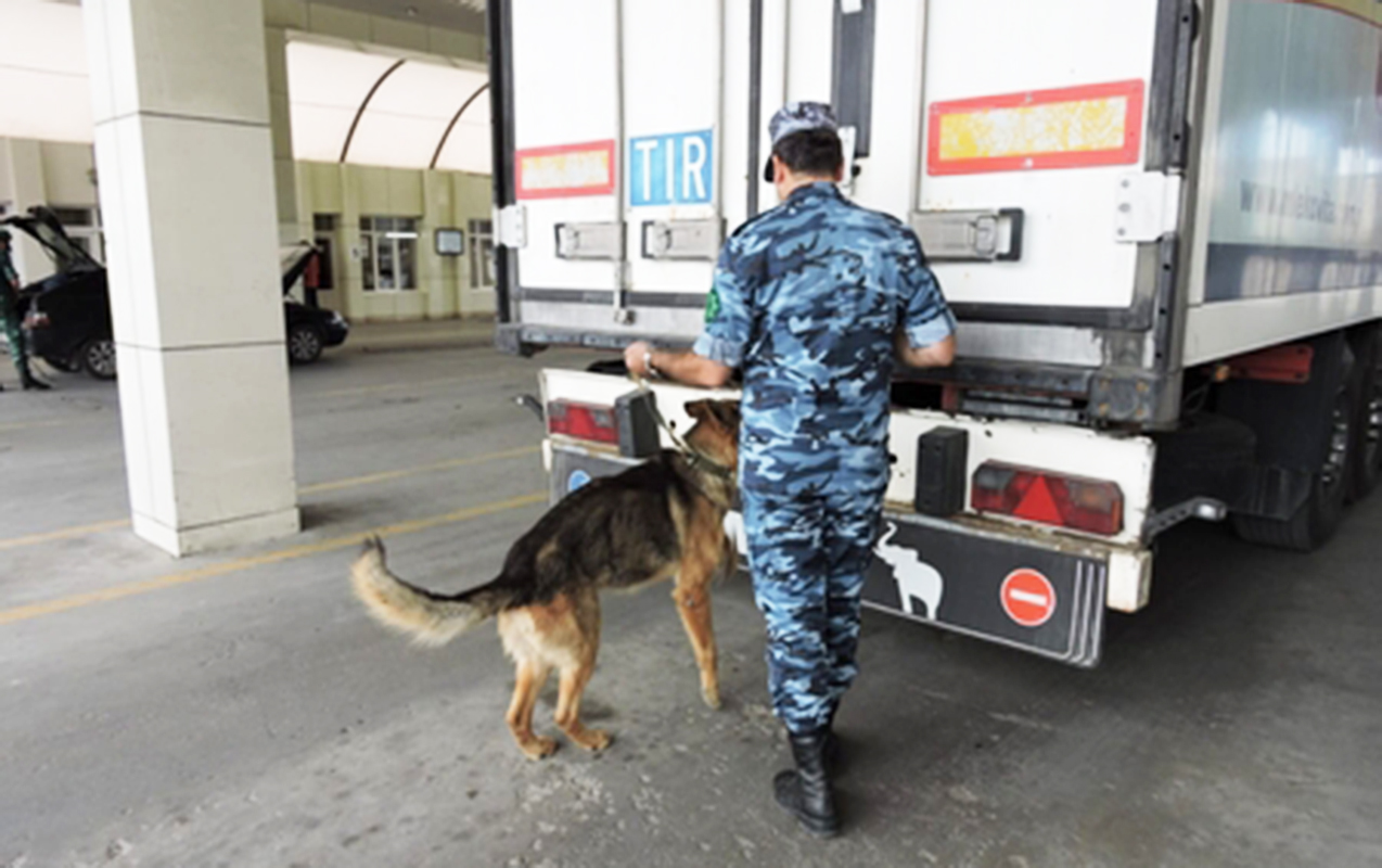TIR-dan 63 kq narkotik çıxdı, atam günahsız yerə həbsdədir