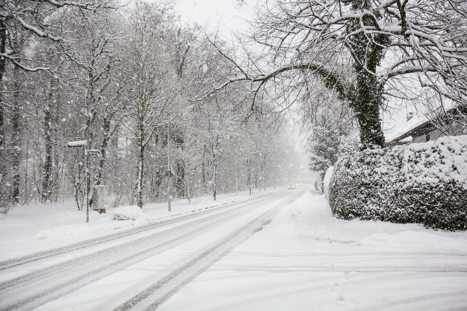 Qar yağacaq, duman olacaq - SABAHIN HAVASI
