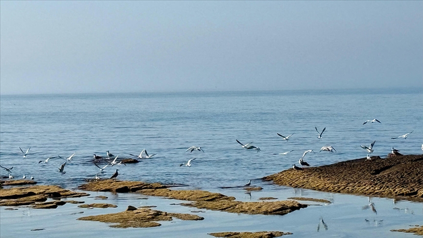 Xəzər dənizinə pul ayrıldı