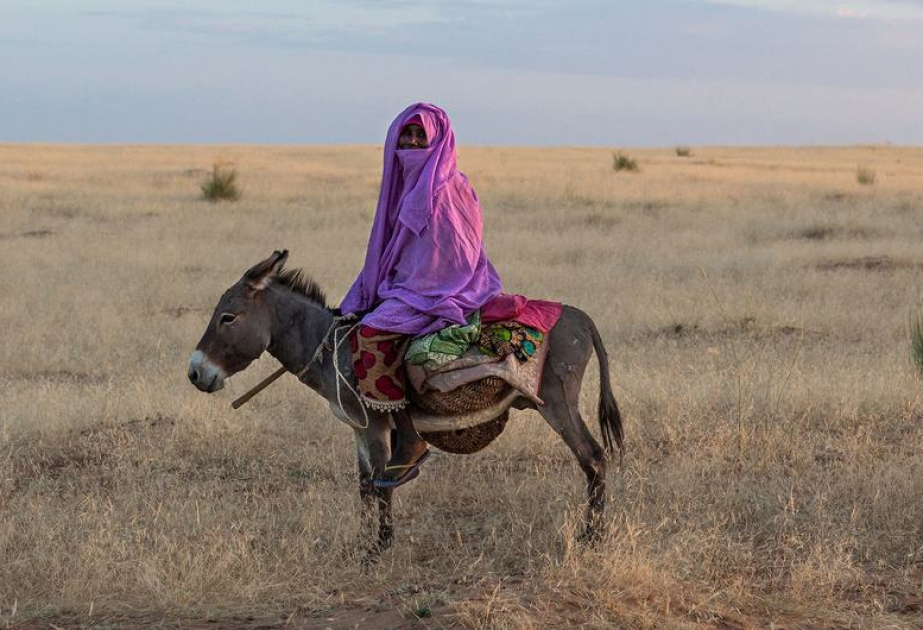 Dünyada 1 milyarddan çox insan öz evlərindən məhrum olmaqdan ehtiyatlanır
