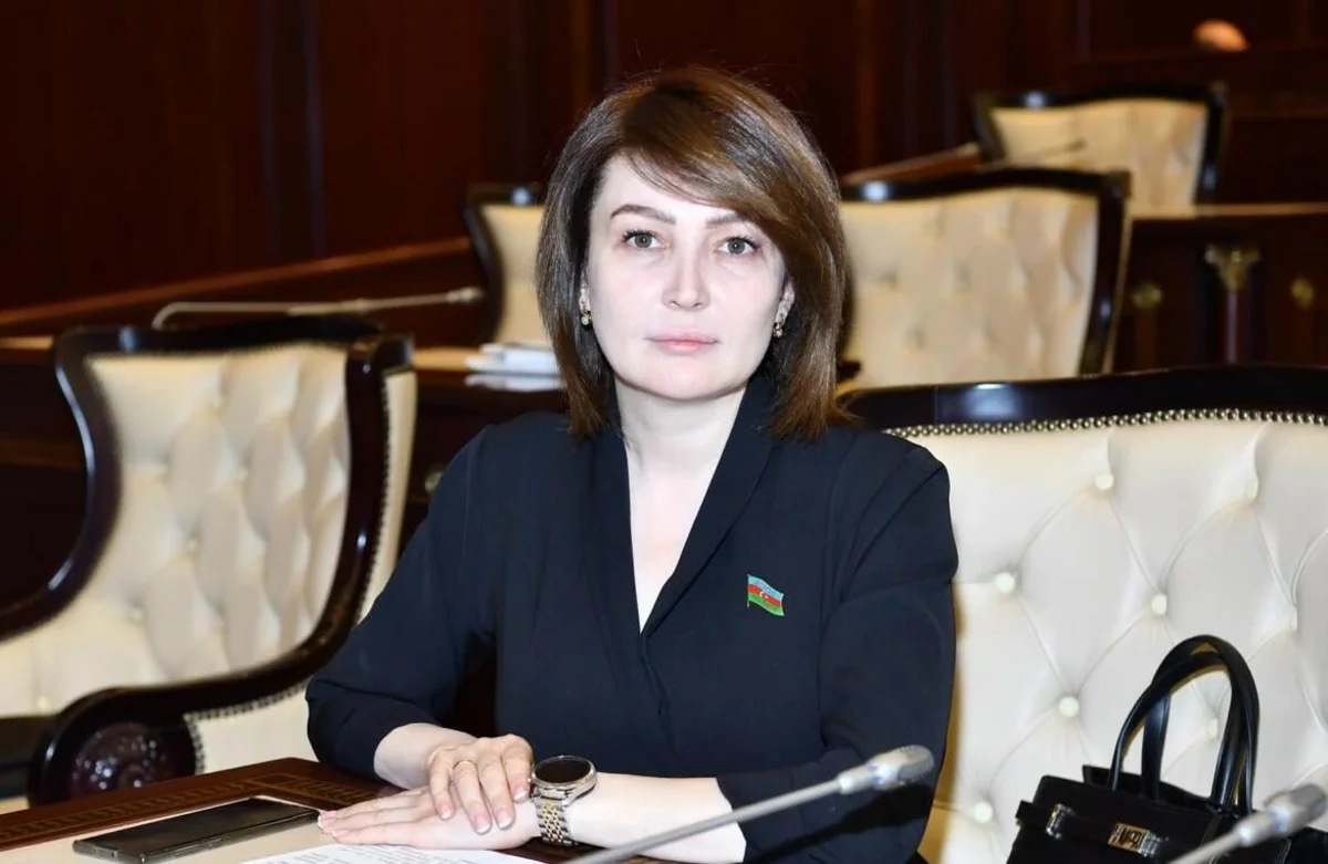 Azərbaycanda nazir müşaviri 2 min manat cərimələndi