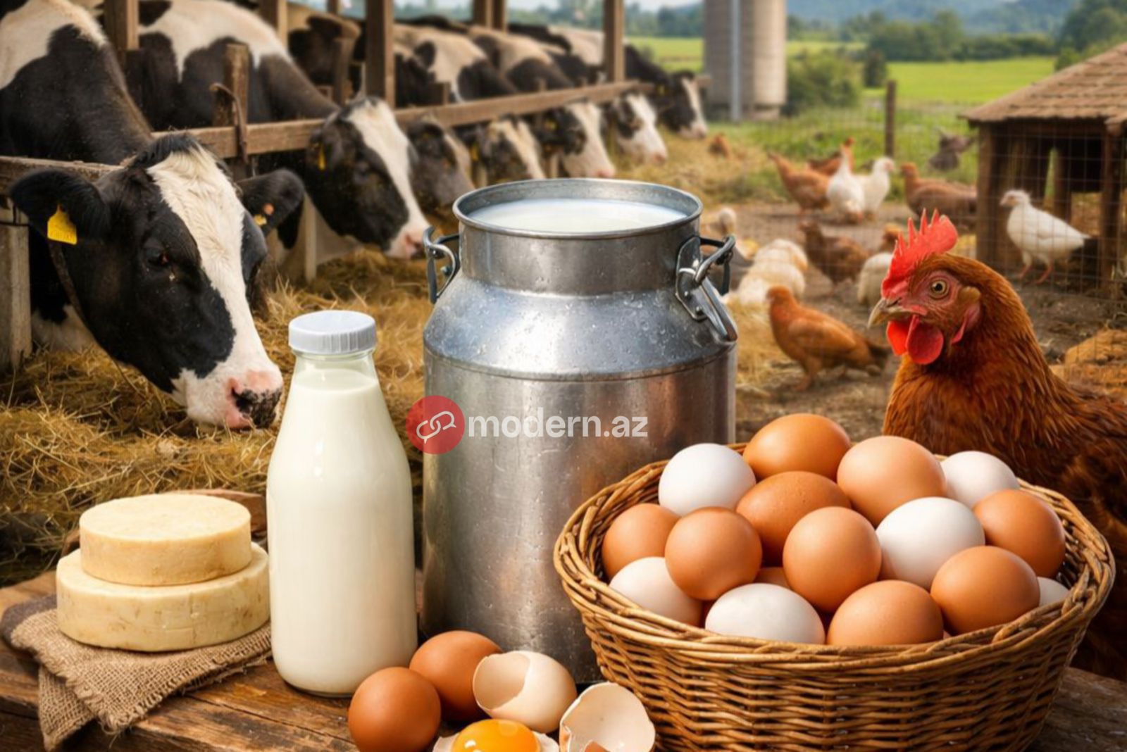 Subsidiya var, məhsuldarlıq yox: İdxaldan asılılıq artır