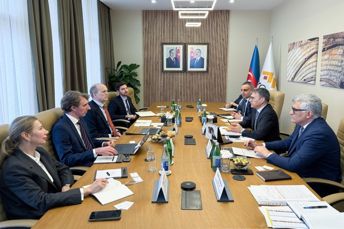 Zakir İbrahimov &ldquo;Wood Mackenzie&rdquo;nin vitse-prezidenti ilə görüşdü