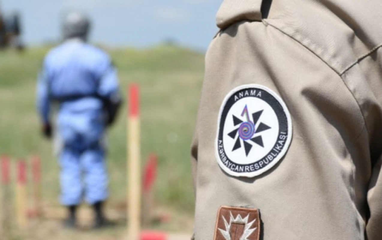 A new task was assigned to ANAMA