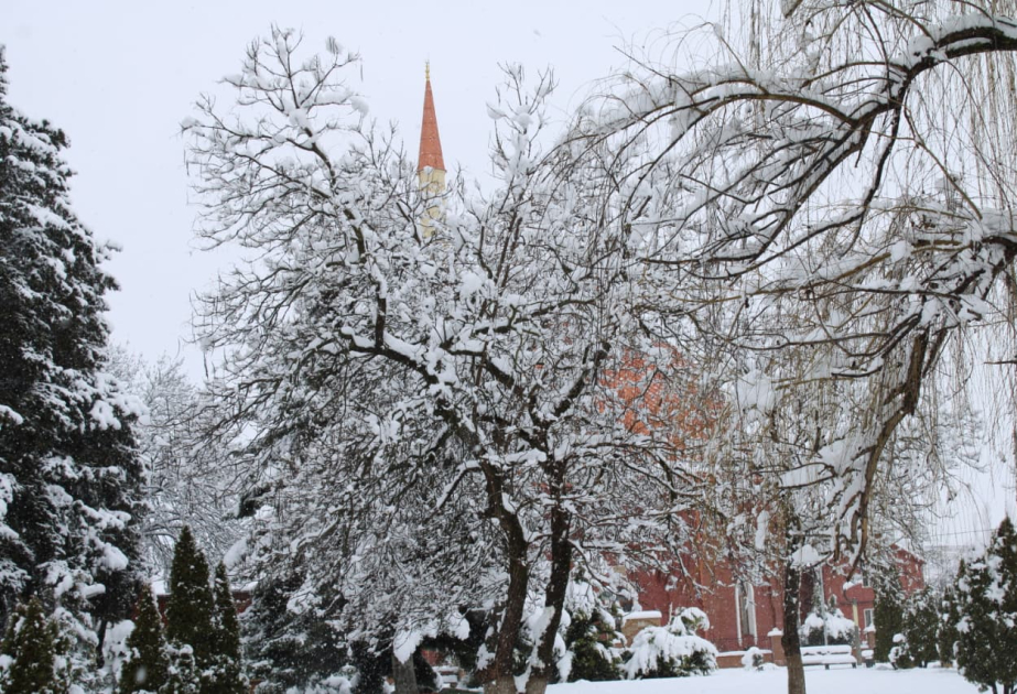برف سنگین قوبا را بی‌برق کرد