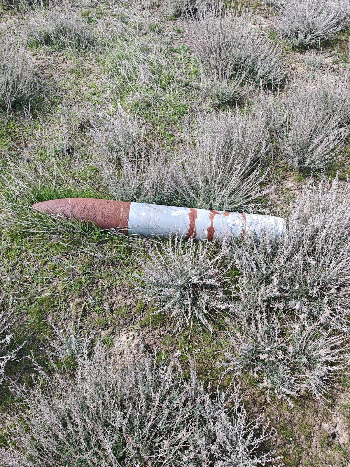 Salyanda partlamamış mərmi aşkarlandı