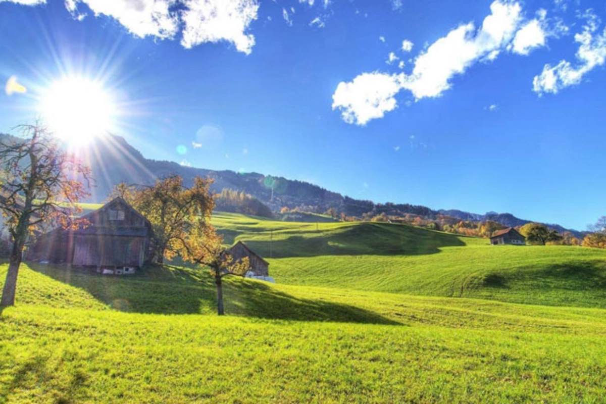 Fevralda maksimal temperatur 27 dərəcə olub