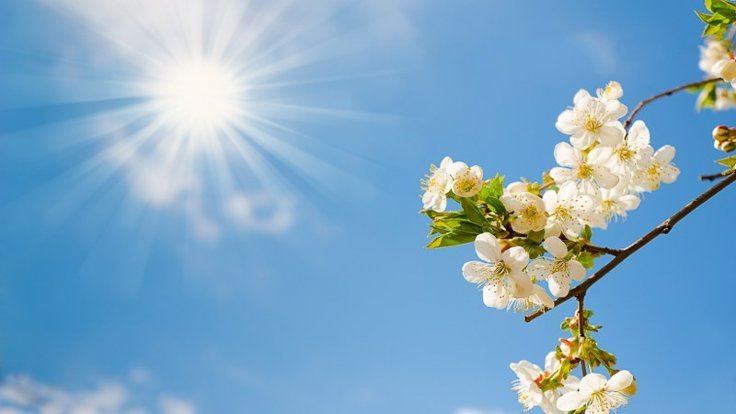 Sabah 17 dərəcə isti olacaq