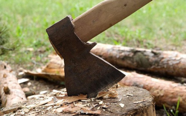 Təbiətə 63 min manatdan çox ziyan vurdular