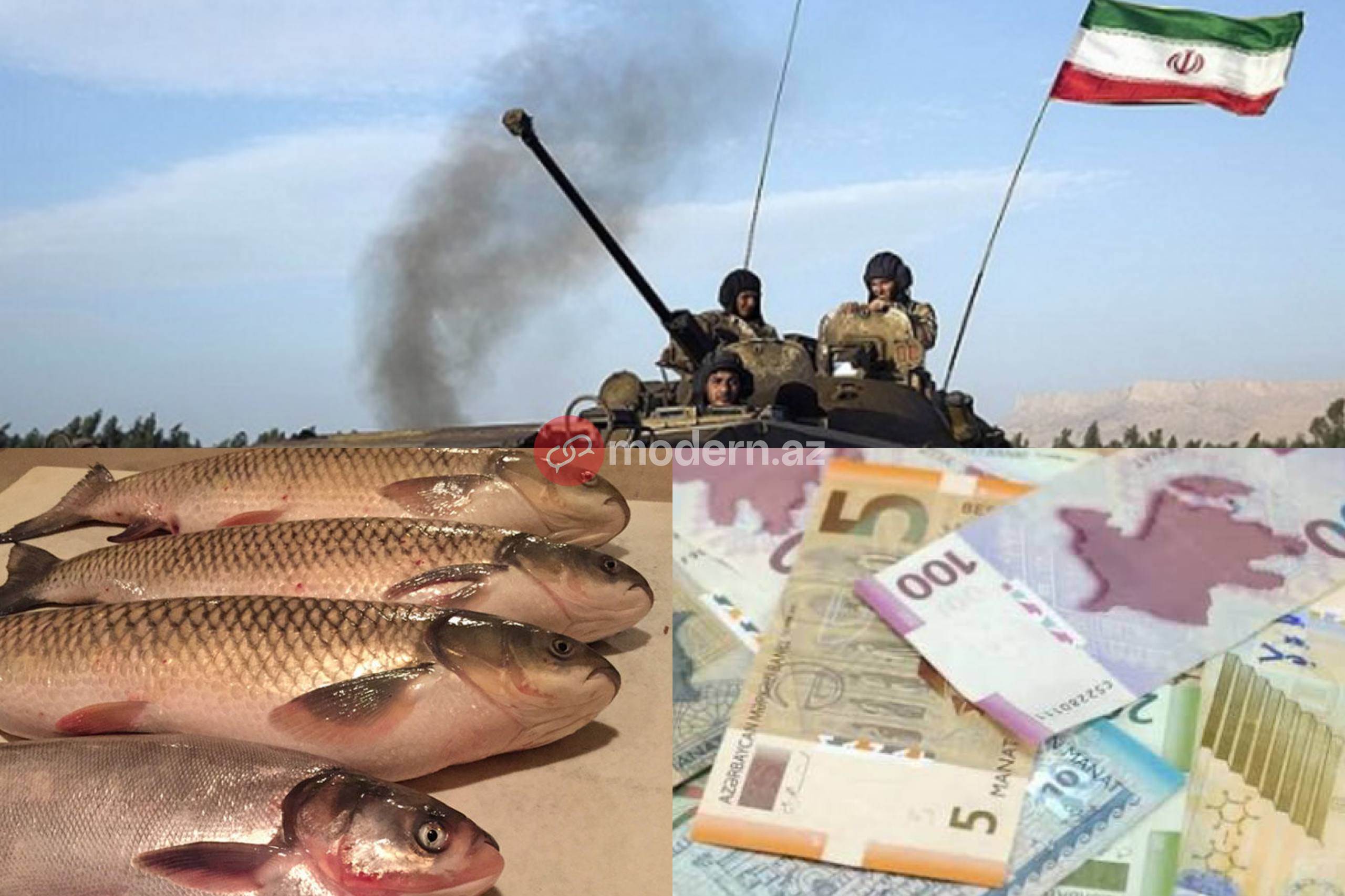 Bakının balıq bazarında qiymət kəllə-çarxa qalxdı -&nbsp;SƏBƏB&nbsp;