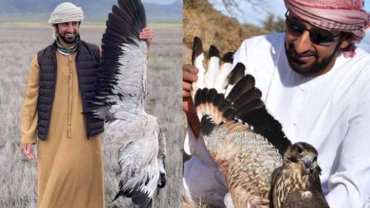 13 əcnəbi Azərbaycanda&nbsp;niyə saxlanılıb?