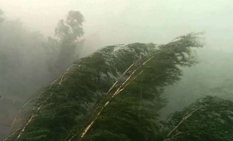 Azərbaycanda güclü külək əsəcək - XƏBƏRDARLIQ