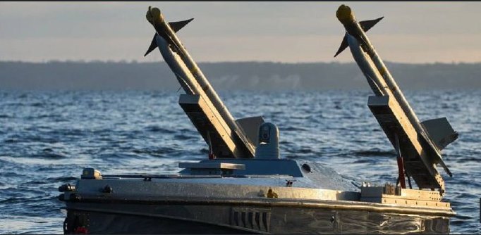 Ukraynalılar NATO-ya dərs keçdi