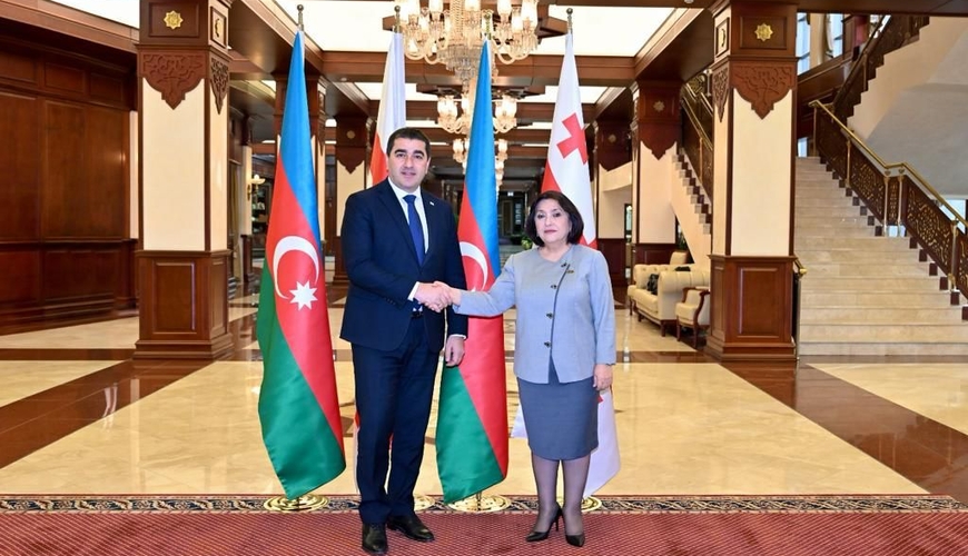 Sahibə Qafarova gürcüstanlı həmkarına başsağlığı verdi