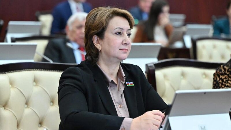 Qarayaxma kampaniyalarına qarşı ən sərt tədbirlər görülməlidir