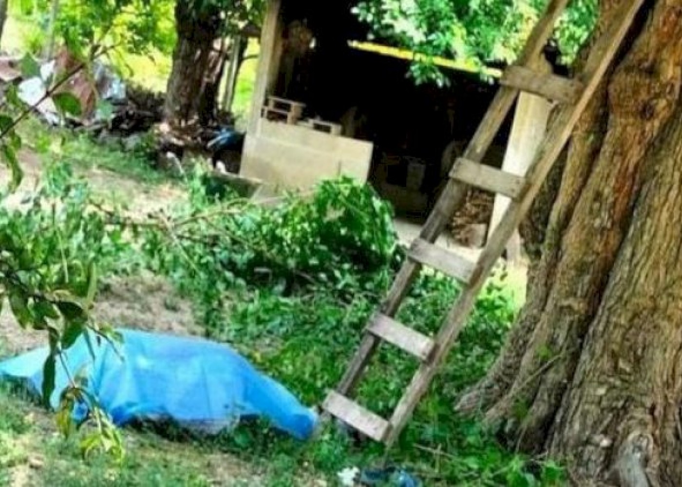 65 yaşlı kişi nərdivandan&nbsp;yıxılaraq öldü