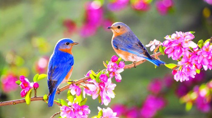 Yazın Azərbaycana daxilolma vaxtı AÇIQLANDI
