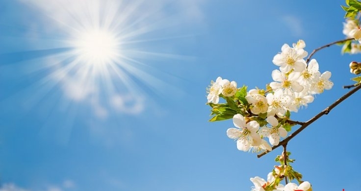 20 dərəcə isti - SABAHIN HAVASI